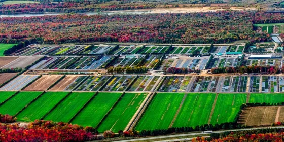 Mapping services in Canada for businesses