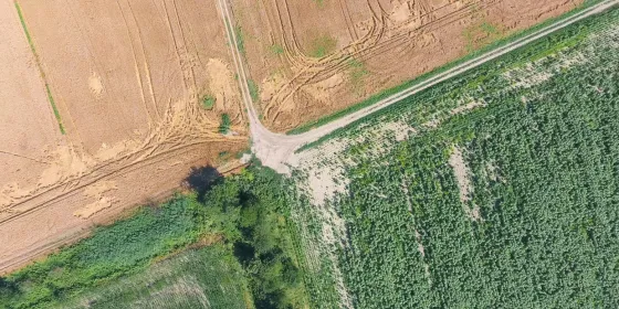 Drone inspection service